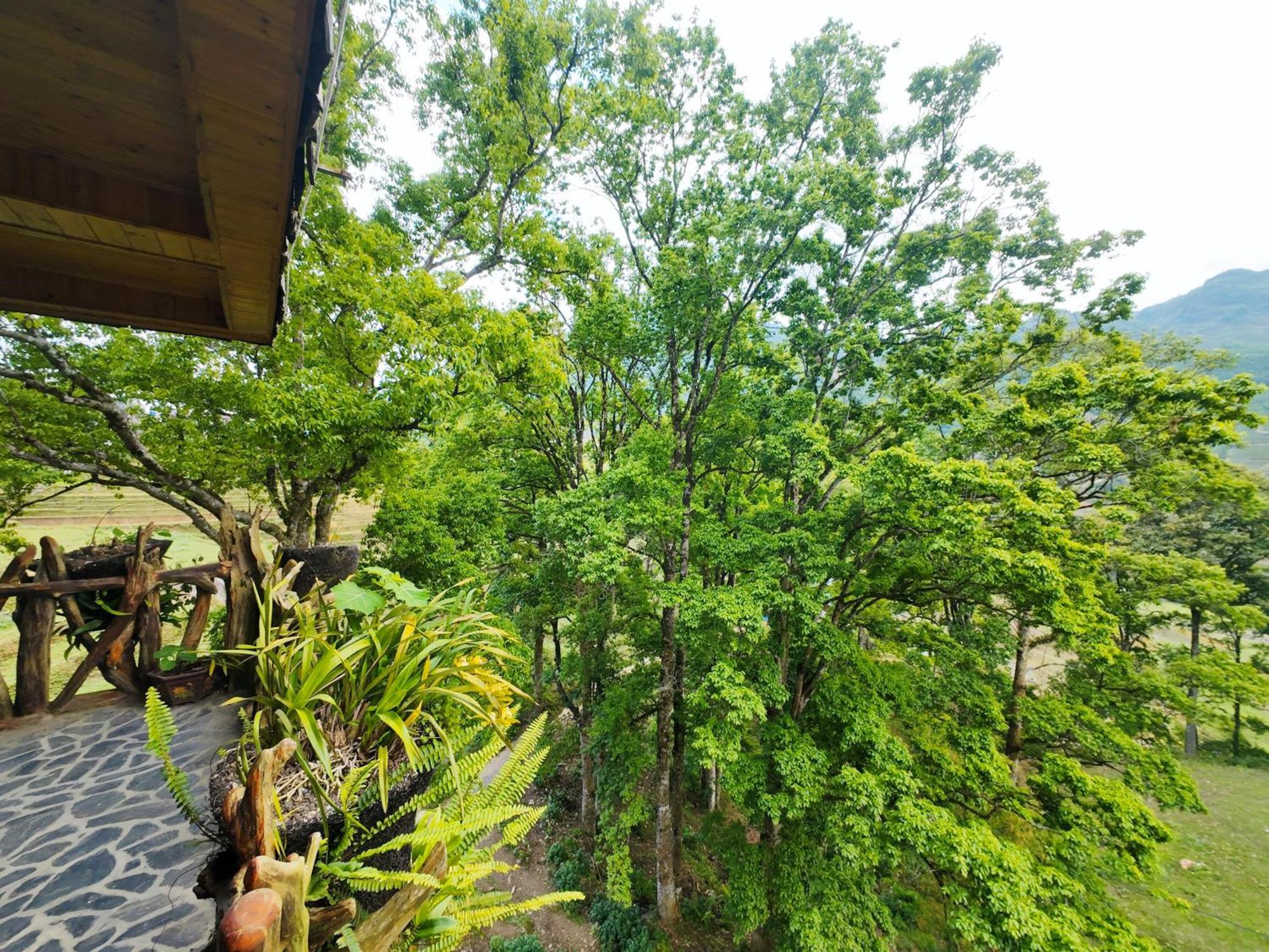 Mt House Sa Pa Hotel Bagian luar foto